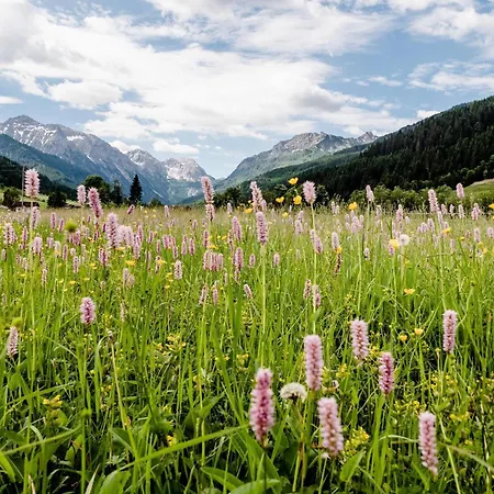 Apartamento Weitblick Wagrain