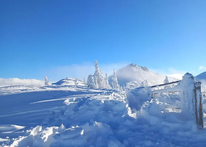 Apartament Weitblick Wagrain